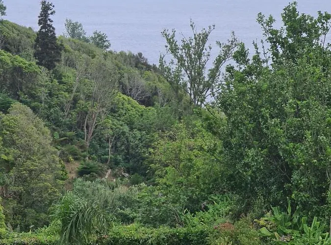 Homestay Al Luso Brasileiro Lajes das Flores